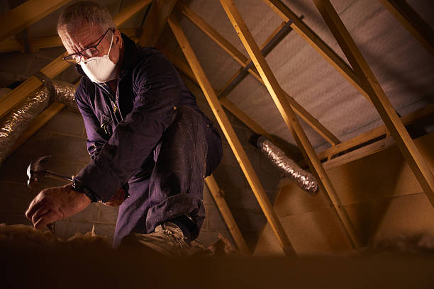 Best Commercial Insulation in Lamar, MO